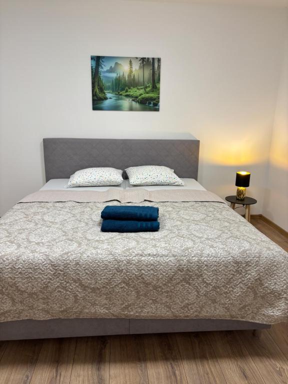 Hlavna2 Apartmán